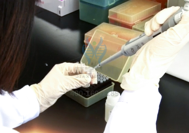 冬季,应对雾霾并发症,基因解码有妙招! 冬季,应对雾霾并发症,基因解码有妙招!